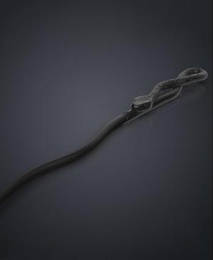 Peter Pettigrew's Second Wand - Harry Potter