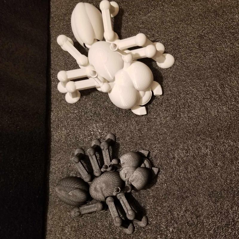 Shakaworld3D Ant / Bug