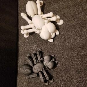 Shakaworld3D Ant / Bug