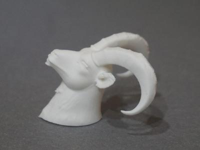 goat/widder head-hunting trophy (sizes vary 42min)
