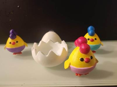 Chicks's Egg