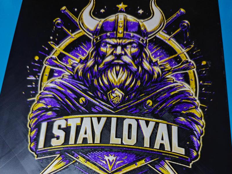 Loyal Vikings Fan