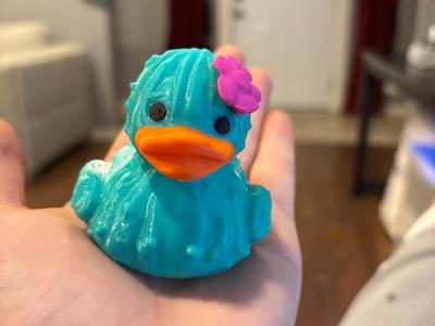 Cactus Duck