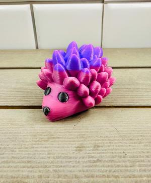 Hairy the Hedgehog