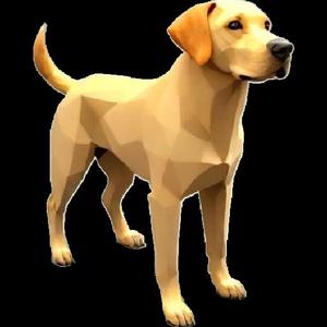 Dog Labrador Model Low Poly