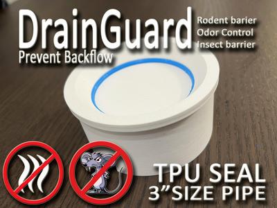 DrainGuard 