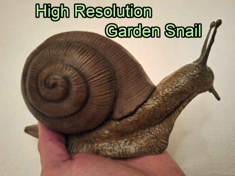 Garden Snail, High resolution