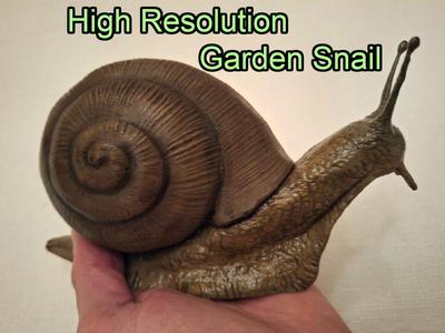 Garden Snail, High resolution