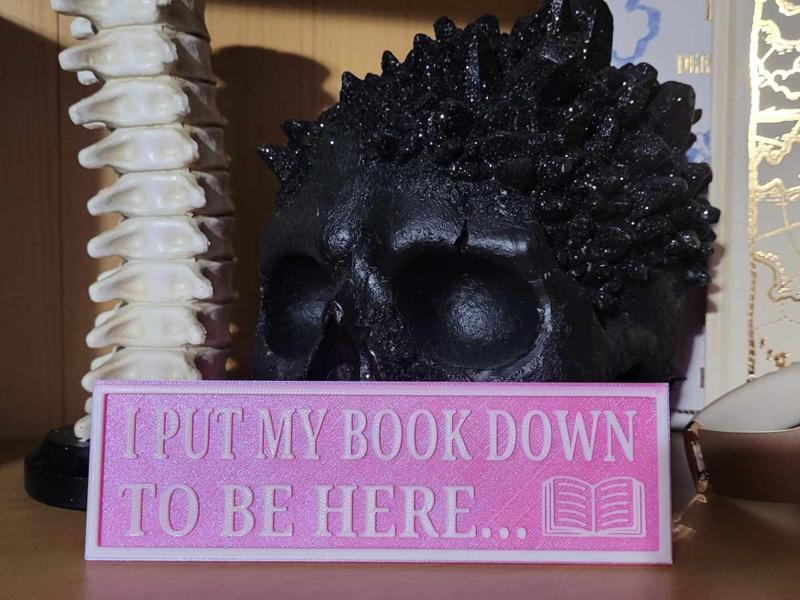 Bookshelf Sign - I put my book down..