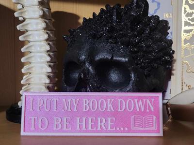 Bookshelf Sign - I put my book down..