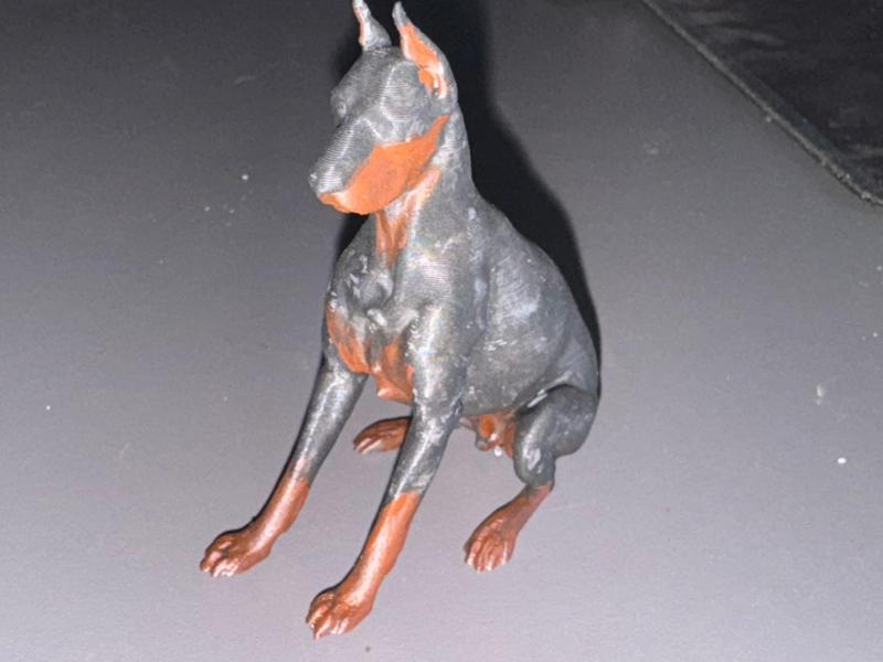 Doberman
