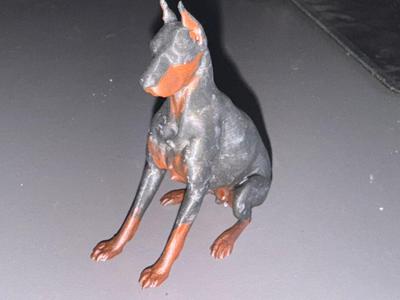 Doberman