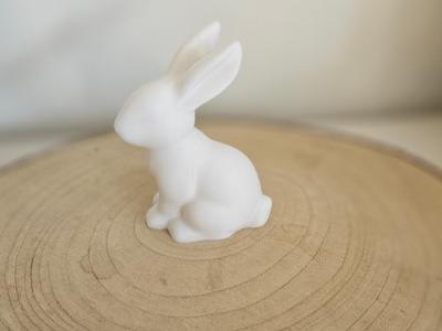 Easter Bunny 