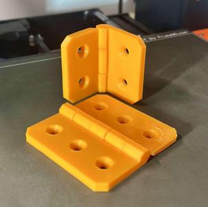 Durable Hinges