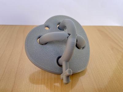 Amour Hanayama Puzzle