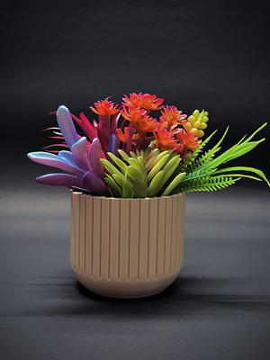 Vase for succulent