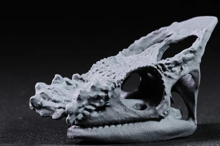 Parsons Chameleon Skull