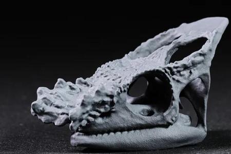 Parsons Chameleon Skull