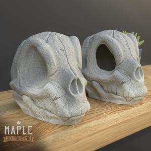 Charmander Skull - Pokemon - Support Free