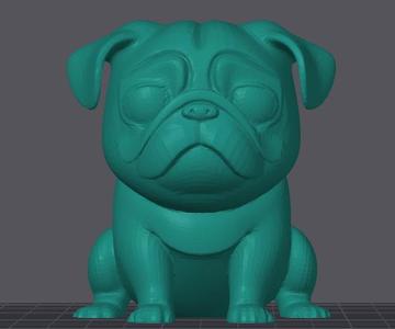 Cute Pug dog