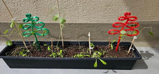 Infinity vine ladder