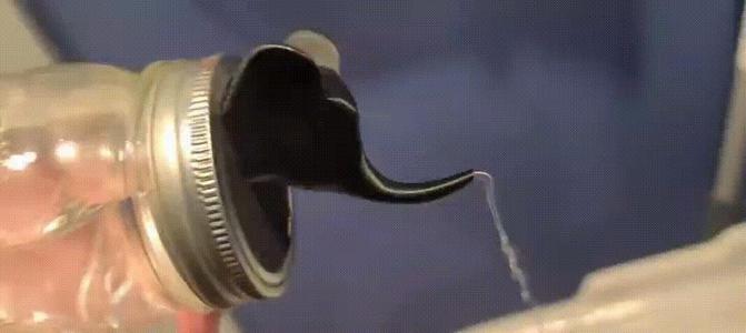 Elephant Head Mason Jar Lid Insert