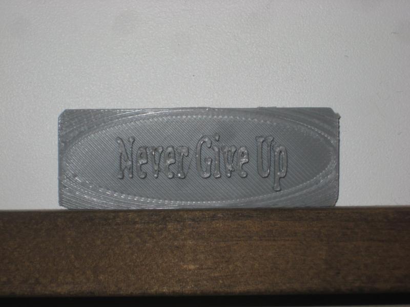 Never Give Up