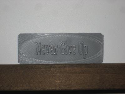 Never Give Up