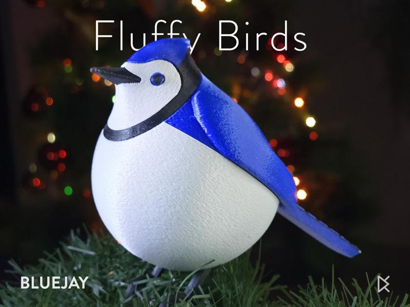 Fluffy Birds - Bluejay