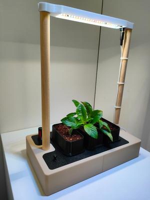 Indoor Hydroponic Greenhouse