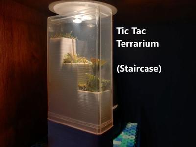 Tic Tac Nano Terrarium