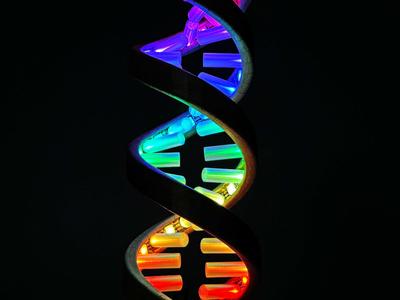 Transparent bars for LED strip DNA lamp