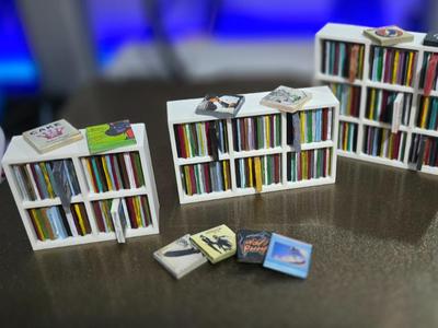 Mini Vinyl Kallax Shelf (Customize)