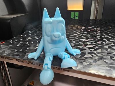 Bluey Buddy