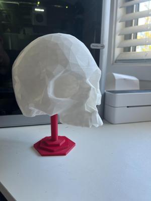 skull with stand