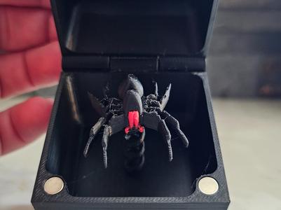 Springy Surprise Box -  jack in the box