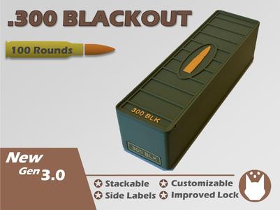 Ammo Storage Box 300 BLK 300 Blackout 100 Rounds