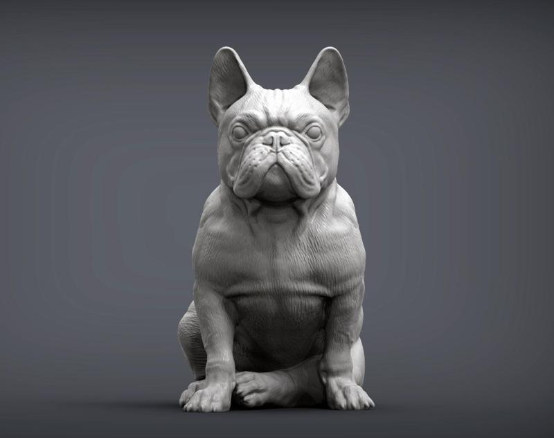 French Bulldog