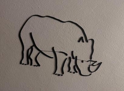 Wall Art - Rhinocenos