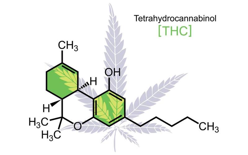 [Clipper Sleeve] THC Molecule