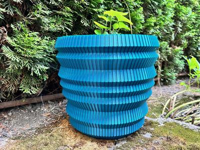 Rhizome | Wasabi Plant Pot