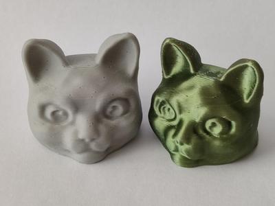 Cat Head