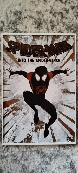 Spiderman into the spider-verse