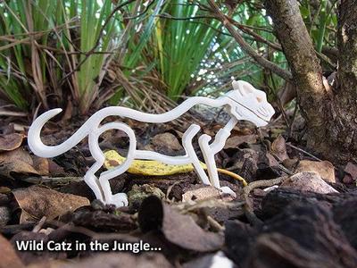 Wild Catz... with Jaws that Bite and Growl!
