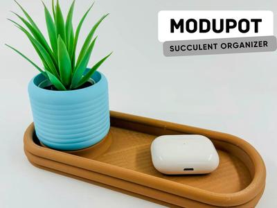 ModuPot - Succulent Organizer