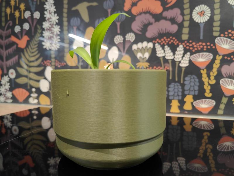 Self watering plant pot - S