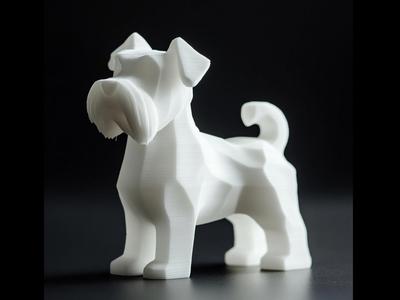 Schnauzer mini dog