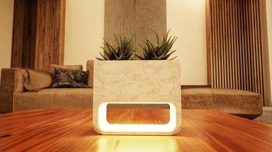 Night Lamp with Planter
