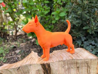 Mino - your Bull Terrier buddy