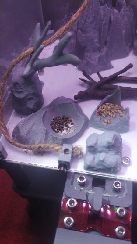 Ant Dimension Rock Mods comederos